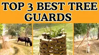 What's the Best Tree Guard for Your Garden? \ TOP 3 BEST TREE GUARDS | HOW TO BULD A TREE GUARDS