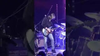 😱 That guitar tone is so EPIC!!! 🤘#fender #guitarist #guitarsolo  #stratocaster