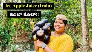 ಈ ಬೇಸಿಗೆಗೆ ರಿಫ್ರೇಶಿಂಗ್ Ice Apple ಜ್ಯೂಸ್ ಮಾಡಿ ನೋಡಿ body full ಕೂಲ್ ಆಗಿರುತ್ತೆ | Ice Apple Juice