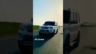 Aek hi business hove transport ka Scorpio status||#shorts#viral#new#best#trending