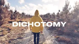 SLUMBERJACK - DICHOTOMY (Full Album Visualizer)