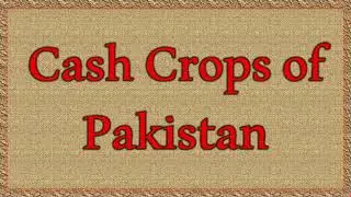Cash Crops of Pakistan