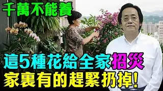 倪海廈：這5種招災花，家裡千萬不能養！小心黴運找上門，三代都受窮！看看你家有沒有？#倪海廈 #易經 #居家風水#破財 #家運  #植物風水  #轉運 #2026運勢 #開運 #春節