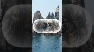 흑산도ㆍ홍도여행