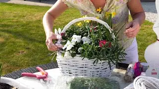 Wielkanocne dekoracje - żonkile, bratki, goździki i pierwiosnki.