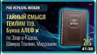 📖 Теилим 119  -  Тайный Смысл  Часть 1  (Рав Исраэль Якобов)