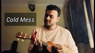 Cold Mess Ukulele Cover|Prateek Kuhad|Armaan Parakh