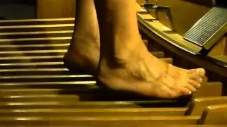 barefoot bass line