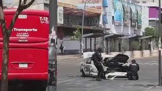 Mexican army kills cartel leader