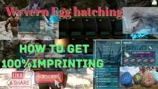 Wyvern egg hatching | How to get 100 % Imprinting in solo player | Ark survival mobile gameplay