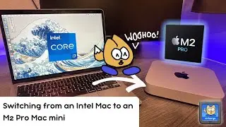 Switching from an Intel Mac to an M2 Pro Mac mini