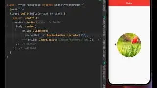 ClipRRect in FLutter