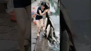 Этот кот меня поймал 🤣 #смешно #кот #шорты