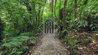 GUILLERMO GRATES -  DESFALCO (PROD. 6ASTARD)