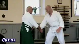 Iron Ball Exercise and Applications, Aikido - Terry Ezra Shihan,
