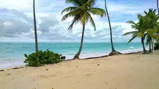 Playa el Cortecito Punta Cana Republica Dominicana