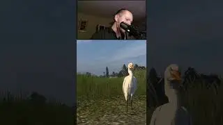 Нашел цапель в новом DLC Louisiana! 🦢 #shorts #ats