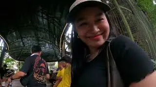 Avilon Zoo Visit