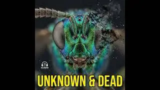 Biological Dark Matter: The Crisis of the Unknown Wasp Empire 🧠 Tech Takedown