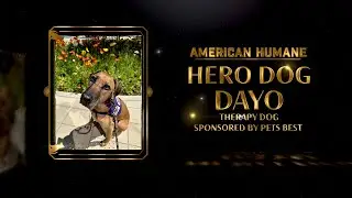 2024 Hero Dog Awards | Therapy Hero Dog Dayo