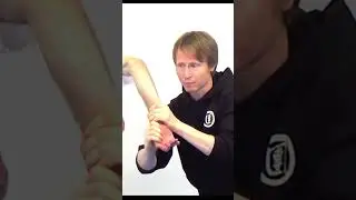 Joint locks: Elbow and chicken wing lock. #martialarts #kungfutraining  #jointlock  #choylifut