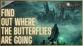 Hogwarts Legacy Find out where the butterflies are going
