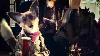 Old Speckled Hen - Hen Night
