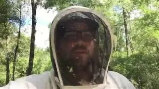 Beekeeping - Setting Up A Queen Yard