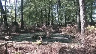 SOL VERTICAL 2018