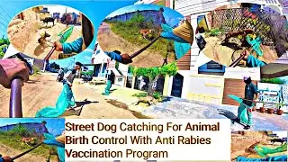 Street Dog's Catching For Vaccine | Goku Boy Amazing Dog Catch | Dog Catching Municipality #dog