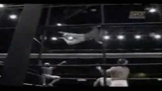 Mistico  Tribute