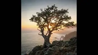 You&rsquo;re the Reason I Believe in Forever (Music)