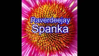 Raverdeejay - Spanka - Techno - Rastatt - Gernsbach - Karlsruhe - Wiesbaden - Hamburg - Strzegom