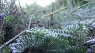 Veľk&aacute; Fatra - život v divočine