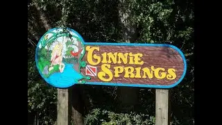 Ginnie Springs Camping With My Wife And Kids!  ( Surprising Review )