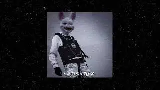 WERTUS - Family (2021)