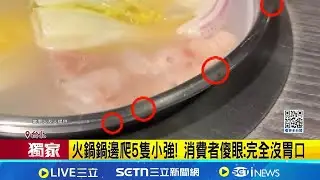 噁! 火鍋鍋邊爬5隻小強 消費者傻眼:完全沒胃口│記者 江柏緯 陳心慈│新聞一把抓20260118│三立新聞台