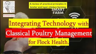 Integrating Technology with Classical Poultry Management for Flock Health