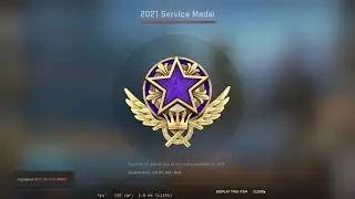 Purple 2021 Service medal Tier 4 CS GO