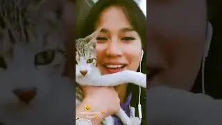 #kiitty😃 Amazing😍🤩#cutepai