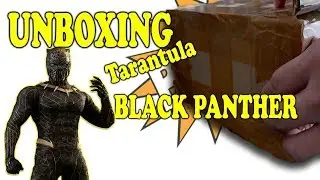 unboxing tarantula super heroes 