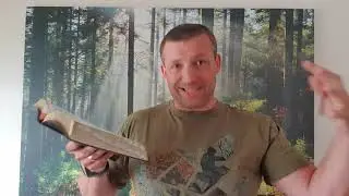 Does the Bible Teach the Earth is Flat?