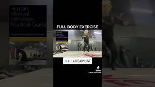 FULL BODY EXERCISE #yulayogaonline #yoga #backpain #poweryoga #strong #exercise #flip #shorts #reels