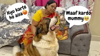 Tyzuu ko padi daant 🥺🤣