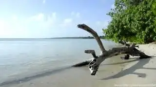Video Teaser KKN yang ditolak oleh DPKM - Calon KKN PPM UGM 2018 Pulau Seliu, Bangka Belitung