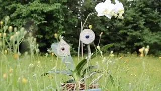 Pflanzenstecker basteln: Eine einfache Anleitung f&uuml;r einen bunten Garten