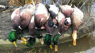 Duck Hunting 2018 - Made A Move and It Paid Off
