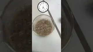 Rock vs. Acid 🧪