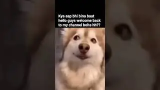 :) #music #relatable #trending #memes #viral #youtube
