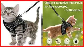 CatRomance Cat Harness and Leash, Escape Proof Kitten Harness and Leash Set for Walking, Adjustable